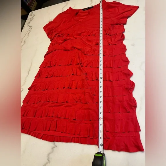 Colleen Lopez Empire Dress with Ruffle Tiers - Picture 9 of 9